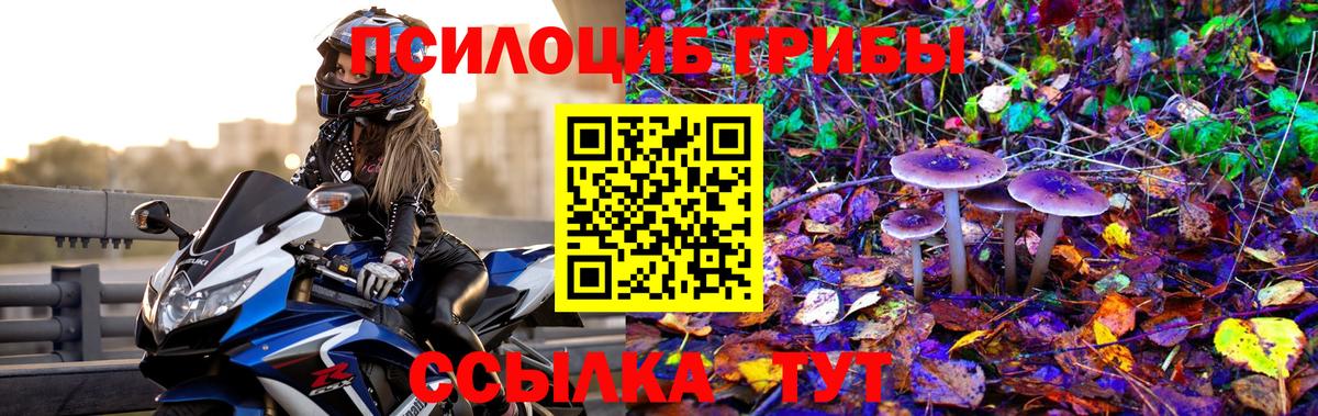 Псилоцибиновые грибы прущие грибы  Вход с VPN  Лянтор 